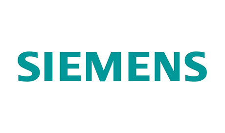 Ipsum